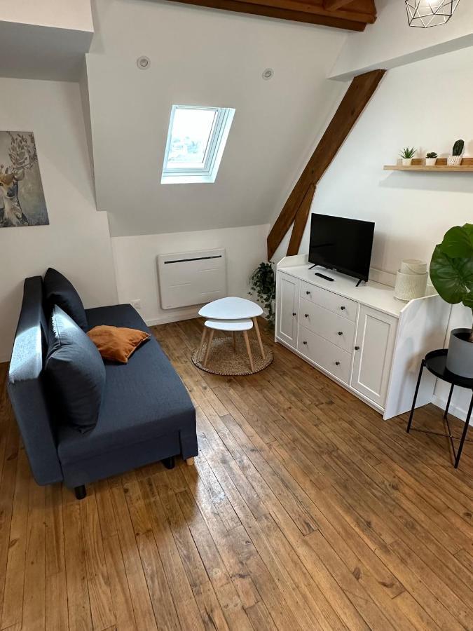 Superbe Appartement Mansarde Avec Mezzanine - Proche Centre Ville, Thermes, Aquensis Bagnères-de-Bigorre Buitenkant foto